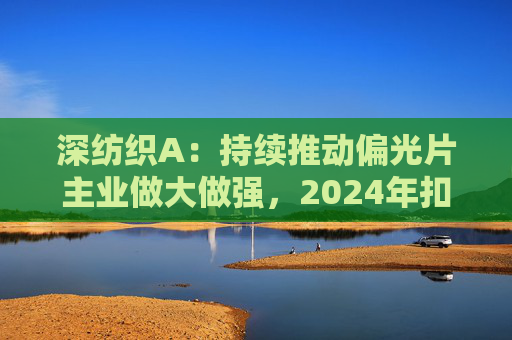 深纺织A：持续推动偏光片主业做大做强，2024年扣非归母净利润增长23.58%