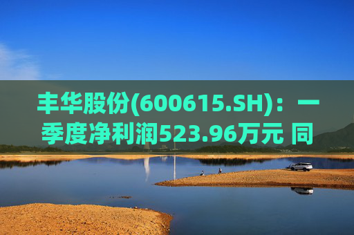 丰华股份(600615.SH)：一季度净利润523.96万元 同比增长645.11%  第1张