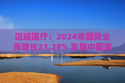 迈瑞医疗:2024年国际业务增长21.28% 发展中国家成重要增长引擎 第1张 迈瑞医疗:2024年国际业务增长21.28% 发展中国家成重要增长引擎 第1张