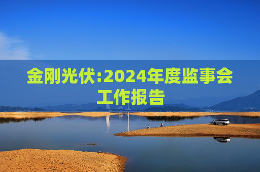金刚光伏:2024年度监事会工作报告