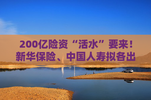 200亿险资“活水”要来!新华保险、中国人寿拟各出资100亿元认购二期鸿鹄基金