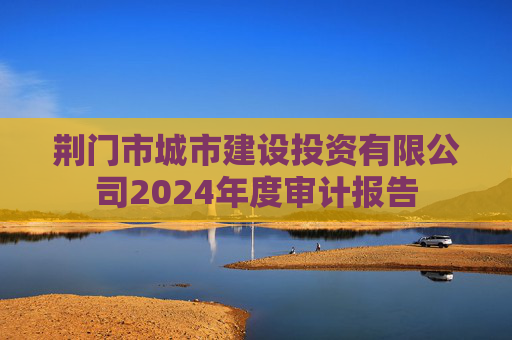荆门市城市建设投资有限公司2024年度审计报告  第1张