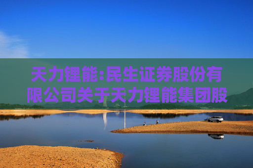 天力锂能:民生证券股份有限公司关于天力锂能集团股份公司募投项目结项并将节余募集资金永久补充流动资金的核查意见