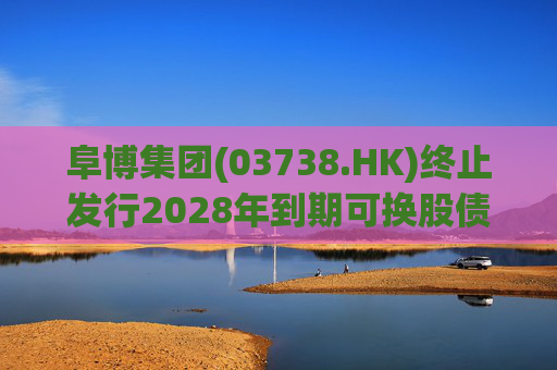 阜博集团(03738.HK)终止发行2028年到期可换股债券