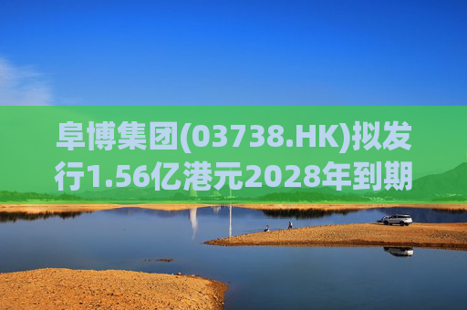 阜博集团(03738.HK)拟发行1.56亿港元2028年到期零息可换股债券  第1张