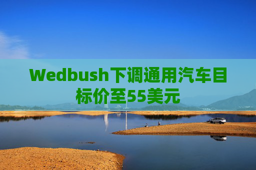Wedbush下调通用汽车目标价至55美元