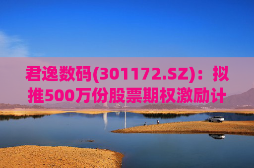 君逸数码(301172.SZ):拟推500万份股票期权激励计划