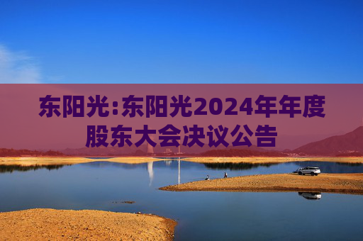 东阳光:东阳光2024年年度股东大会决议公告