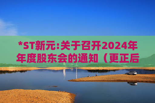 *ST新元:关于召开2024年年度股东会的通知（更正后）