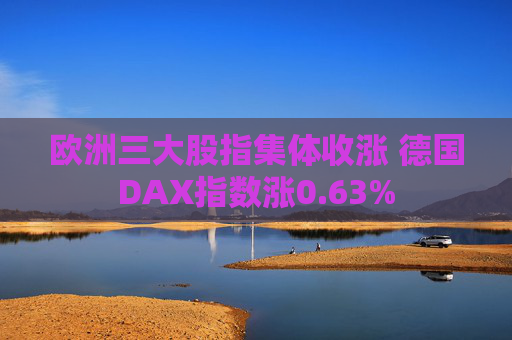 欧洲三大股指集体收涨 德国DAX指数涨0.63%