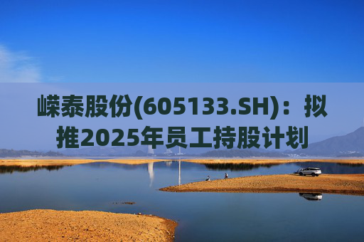 嵘泰股份(605133.SH):拟推2025年员工持股计划