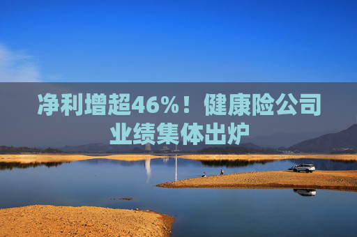 净利增超46%！健康险公司业绩集体出炉