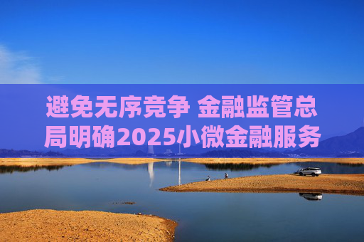 避免无序竞争 金融监管总局明确2025小微金融服务新目标  第1张