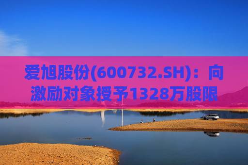 爱旭股份(600732.SH)：向激励对象授予1328万股限制性股票