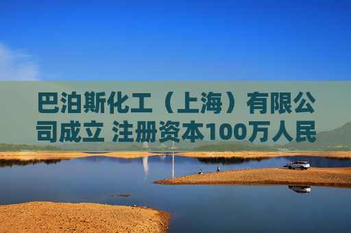 巴泊斯化工（上海）有限公司成立 注册资本100万人民币  第1张