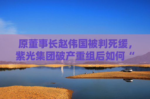 原董事长赵伟国被判死缓,紫光集团破产重组后如何“求生”? 第1张 原董事长赵伟国被判死缓,紫光集团破产重组后如何“求生”? 第1张