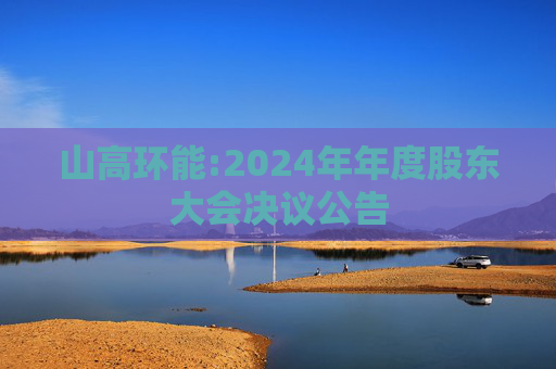 山高环能:2024年年度股东大会决议公告