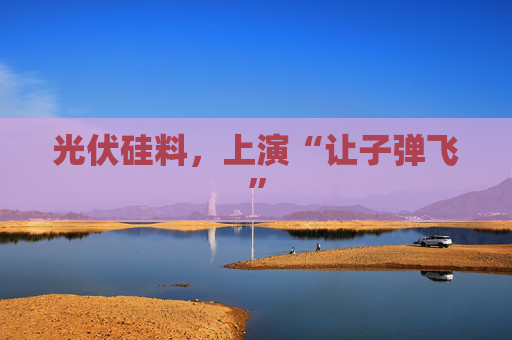 光伏硅料，上演“让子弹飞”