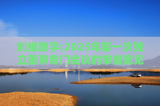 创维数字:2025年第一次独立董事专门会议的审查意见  第1张