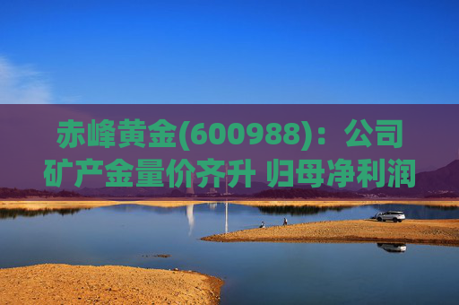 赤峰黄金(600988)：公司矿产金量价齐升 归母净利润创历史新高