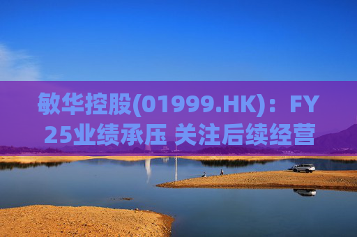 敏华控股(01999.HK):FY25业绩承压 关注后续经营改善 第1张 敏华控股(01999.HK):FY25业绩承压 关注后续经营改善 第1张