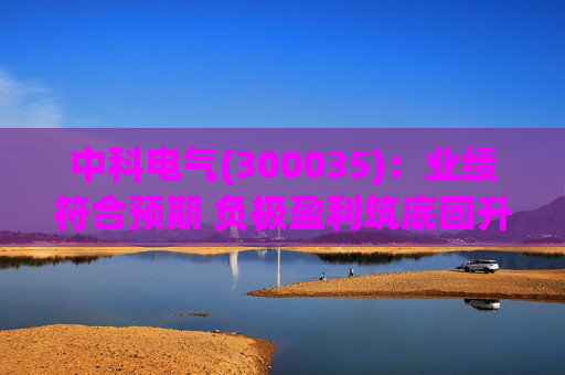 中科电气(300035)：业绩符合预期 负极盈利筑底回升