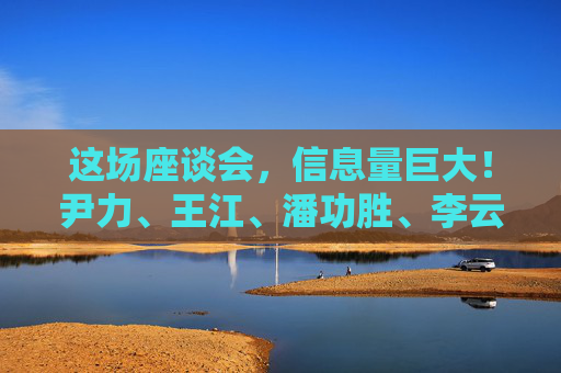 这场座谈会，信息量巨大！尹力、王江、潘功胜、李云泽、吴清参加