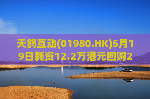 天鸽互动(01980.HK)5月19日耗资12.2万港元回购20万股  第1张