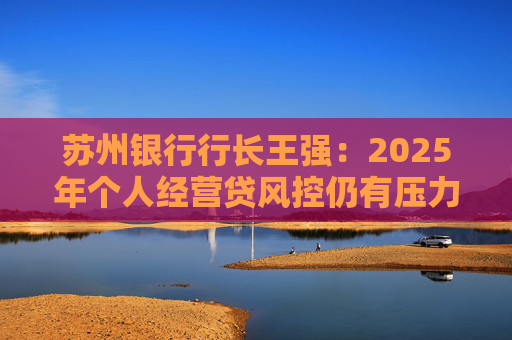 苏州银行行长王强:2025年个人经营贷风控仍有压力,但不会造成冲击 第1张 苏州银行行长王强:2025年个人经营贷风控仍有压力,但不会造成冲击 第1张