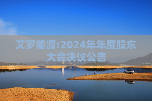 艾罗能源:2024年年度股东大会决议公告