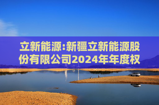立新能源:新疆立新能源股份有限公司2024年年度权益分派实施公告  第1张