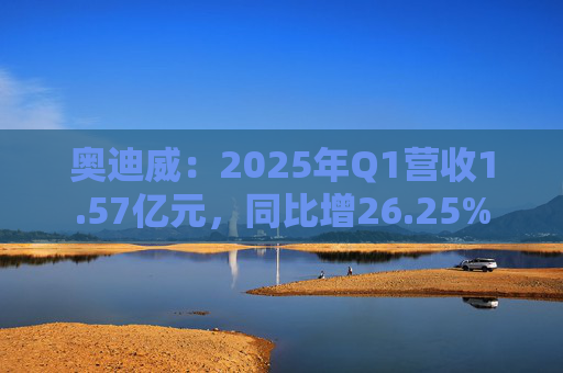 奥迪威：2025年Q1营收1.57亿元，同比增26.25%  第1张