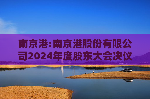 南京港:南京港股份有限公司2024年度股东大会决议公告  第1张