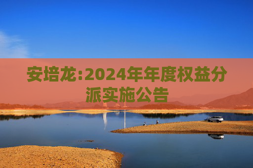 安培龙:2024年年度权益分派实施公告