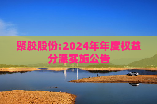 聚胶股份:2024年年度权益分派实施公告