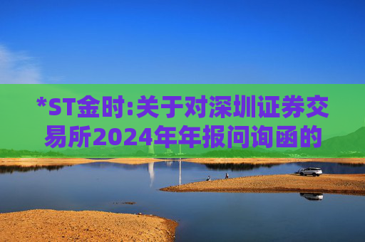*ST金时:关于对深圳证券交易所2024年年报问询函的回复