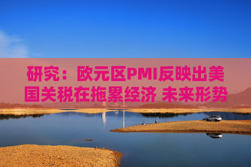研究:欧元区PMI反映出美国关税在拖累经济 未来形势或更糟