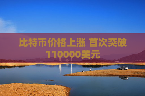 比特币价格上涨 首次突破110000美元