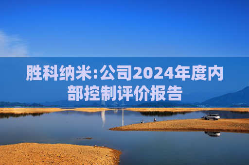 胜科纳米:公司2024年度内部控制评价报告