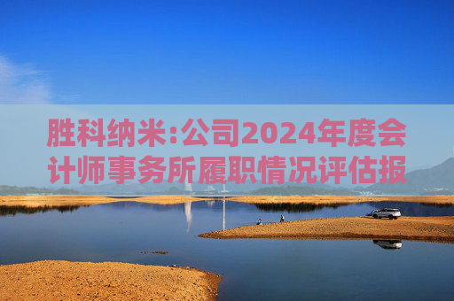 胜科纳米:公司2024年度会计师事务所履职情况评估报告  第1张