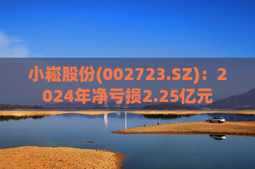 小崧股份(002723.SZ)：2024年净亏损2.25亿元