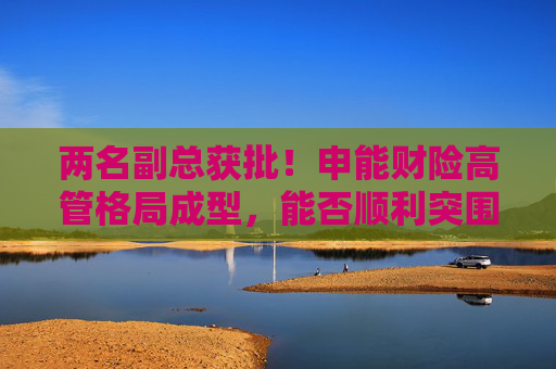 两名副总获批！申能财险高管格局成型，能否顺利突围？  第1张