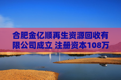 合肥金亿顺再生资源回收有限公司成立 注册资本108万人民币
