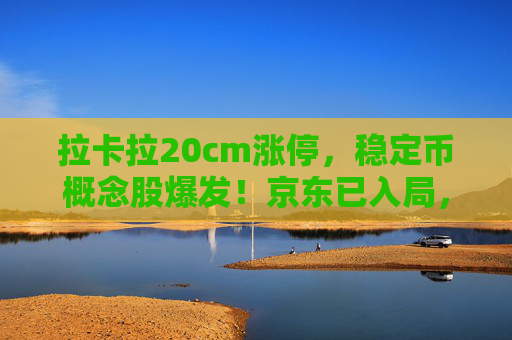 拉卡拉20cm涨停，稳定币概念股爆发！京东已入局，稳定币架构师年薪可达近百万