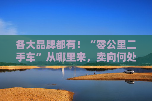 各大品牌都有！“零公里二手车”从哪里来，卖向何处，影响有多大？