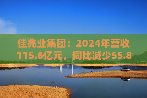 佳兆业集团：2024年营收115.6亿元，同比减少55.8%