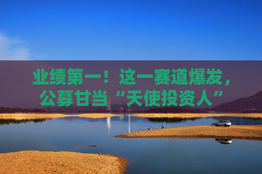 业绩第一！这一赛道爆发，公募甘当“天使投资人”  第1张