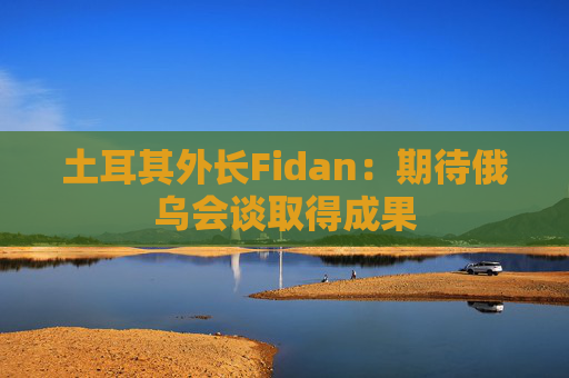 土耳其外长Fidan：期待俄乌会谈取得成果