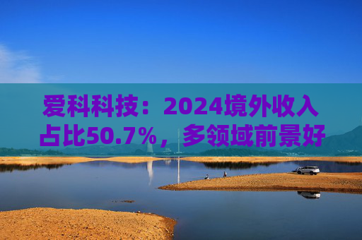 爱科科技：2024境外收入占比50.7%，多领域前景好