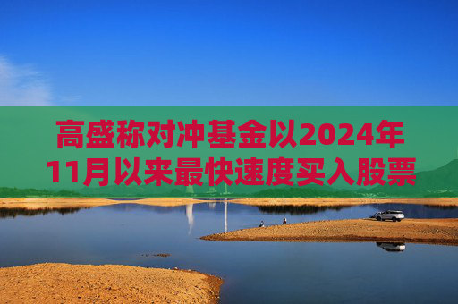 高盛称对冲基金以2024年11月以来最快速度买入股票  第1张